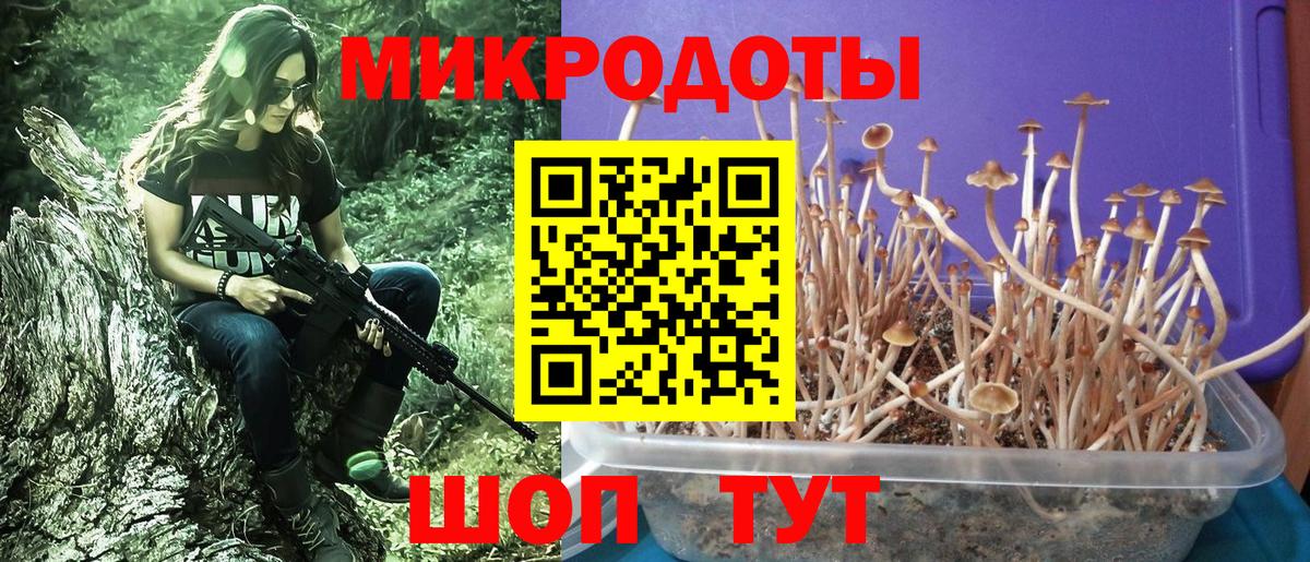 Верхний Уфалей  Псилоцибиновые грибы прущие грибы  Вход с VPN 